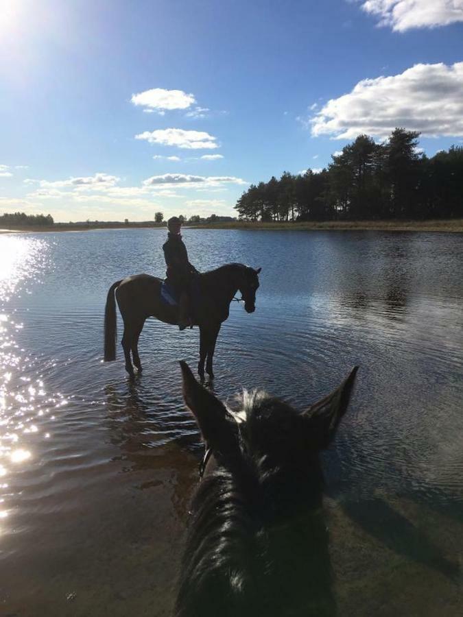 B&B De Sfeerhoeve Beilen Exteriör bild