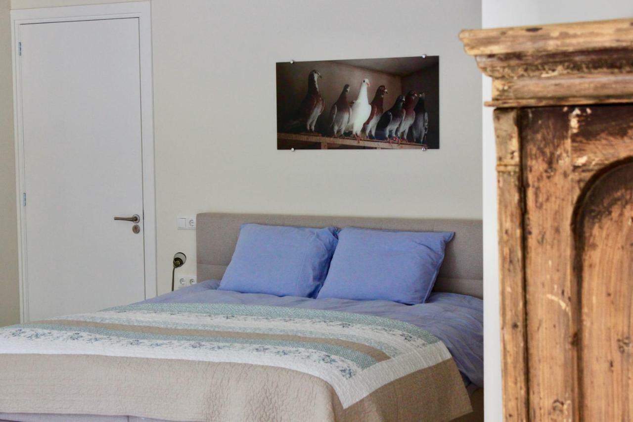 B&B De Sfeerhoeve Beilen Exteriör bild
